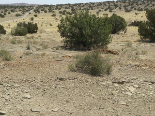 Image for 400 ROGERSVILLE