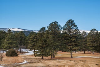 Image for Lot 73 East Forest Drive