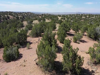 Image for 227 New Moon Overlook Lot 12