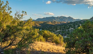 Image for 12 White Wolf