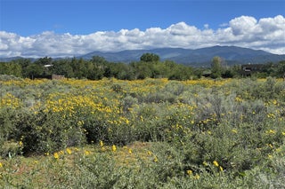 Image for 1027 Alto Street Lot 2
