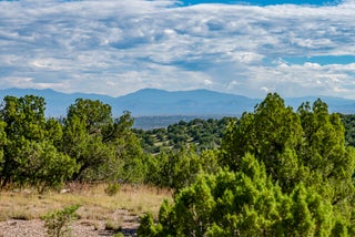 Image for 95 Grenfell Ranch & 30 Blue Agave