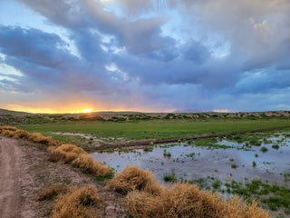 Image for Sevilleta Hills Elk Ranch