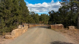 Image for 43 Silver Feather Trail