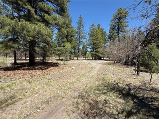 Image for TBD State Road 512