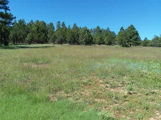 Image for 344 Forest Rd 83