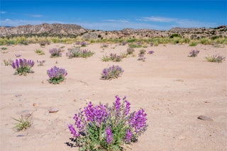 Image for TBD US Highway 285