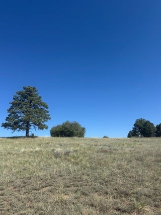 Image for Lot 9 1796 (Deer Trail)