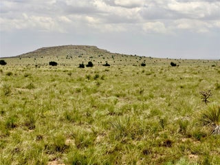 Image for Martinez Pintada Ranch