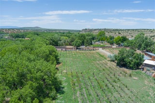 Image for 442 Los Pinos Street