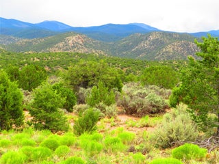 Image for TBD NM 503