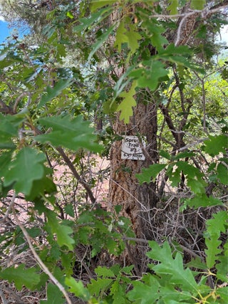 Image for TBD SPRUCE TRAIL LOT 3