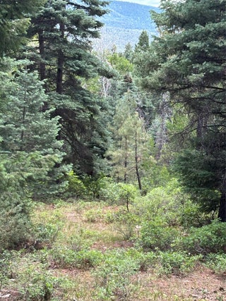 Image for TBD SPRUCE TRAIL LOT 2