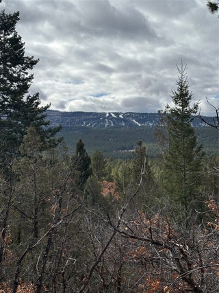 Image for TBD HWY 95