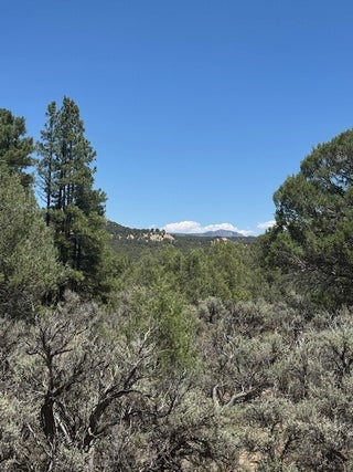 Image for Lot 7 Unit 5