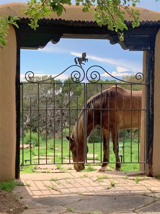 Image for 7 Camino Amansador