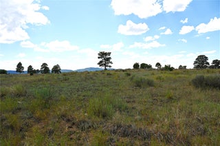 Image for 00 1796