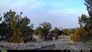 Image for 83 Bear Valley Road,
