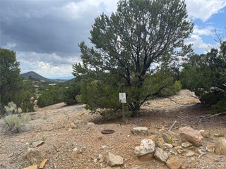 Image for 1973 Cerros Colorados