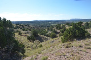Image for 76 Wolf Road