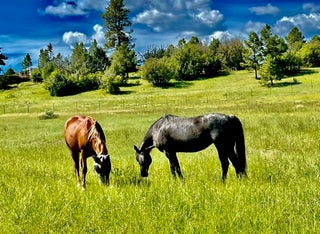 Image for 3 Elk Drive