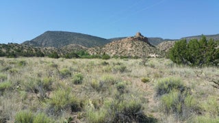 Image for 0 County Road 163