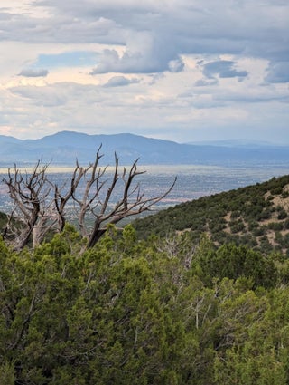 Image for 0 Ortiz Mine Grant