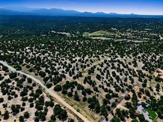 Image for 74 & 76 Lluvia De Oro