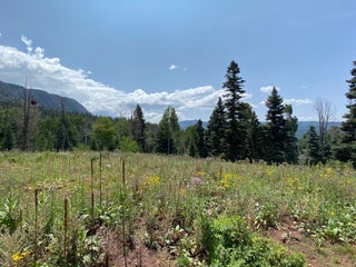 Image for 0 Aspen Bluff #5