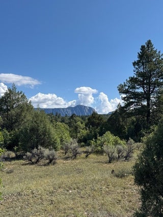 Image for Lot 2 Tract 1 CR 485