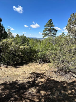 Image for 99 Private Drive 1781A