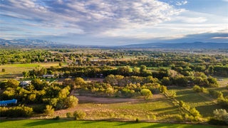 Image for 736 Bosque Dulce