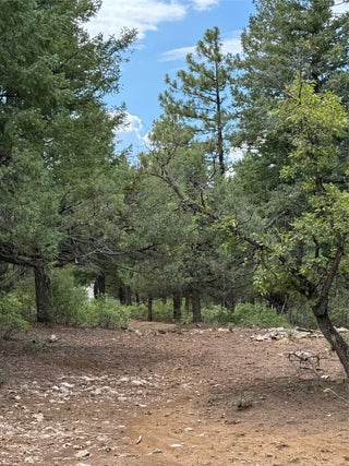 Image for Unit 4 Lakeview