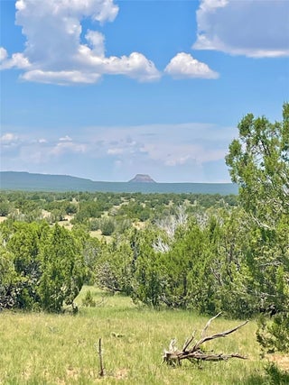 Image for 000 County Rd B29a
