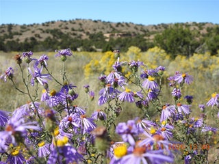 Image for 133 Paseo De La Tierra