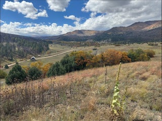 Image for 21.745ac Los Alamitos Rd