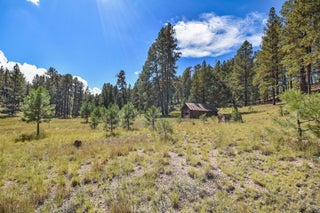 Image for 27.5 Acres Jemez Mountains Forest Rd 10