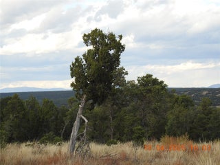 Image for 129 Tierra de Dios