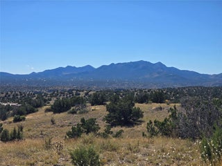 Image for 20 Bonanza