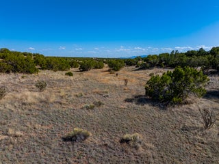 Image for 12 Estrellita del Norte