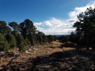 Image for tbd Pecos
