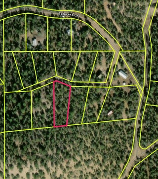 Image for TBD TALAVERA Lot: 7-B2