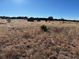 Image for 125 Bishop Lamy Road