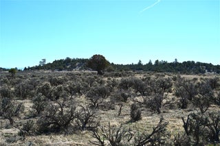 Image for 00 Pajarito DR