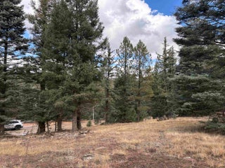 Image for lot 484 San Mateo
