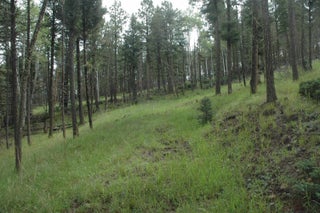 Image for 1530 colfax terrace