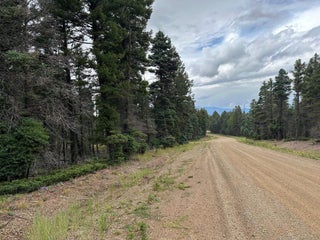 Image for lot 194 Taos Pl