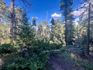 Image for Lot 1465 Peralta Dr