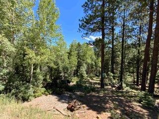 Image for Lot 22 Taos Pines Ranch Rd