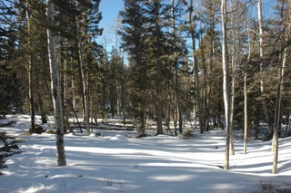 Image for Lot 215 taos drive